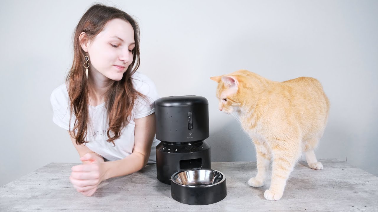 Petlibro Granary Automatic Cat Feeder Review (We Tried It)