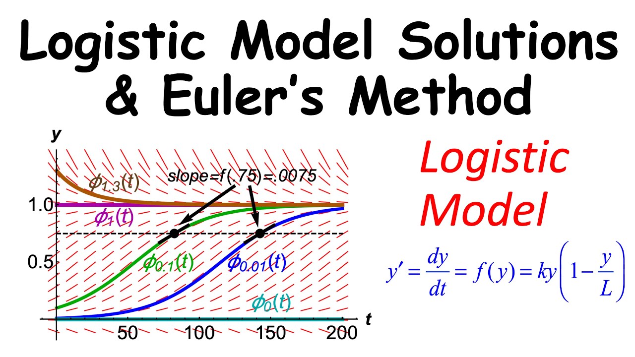 Logistic Population Model in Differential Equations (Separation of Variables, Euler's Method)