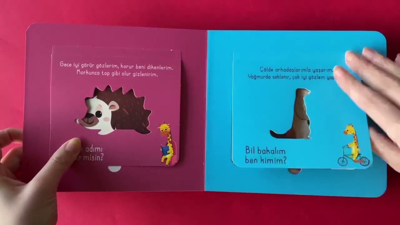 Bak-Bul Sobe Oyuncu Z&uuml;rafa