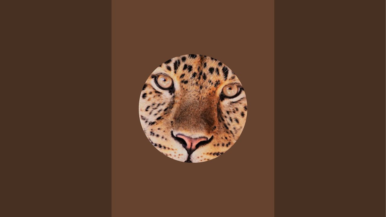 Morena les caract&eacute;ristiques des signes Astro  cancer lion vierge balance scorpion sagittaire