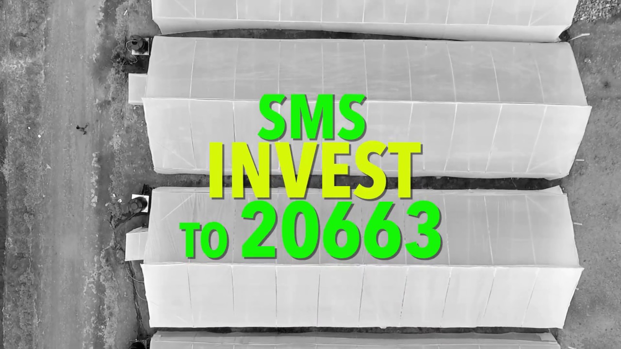 Affordable & Ideal Investment Opportunities in Kenya