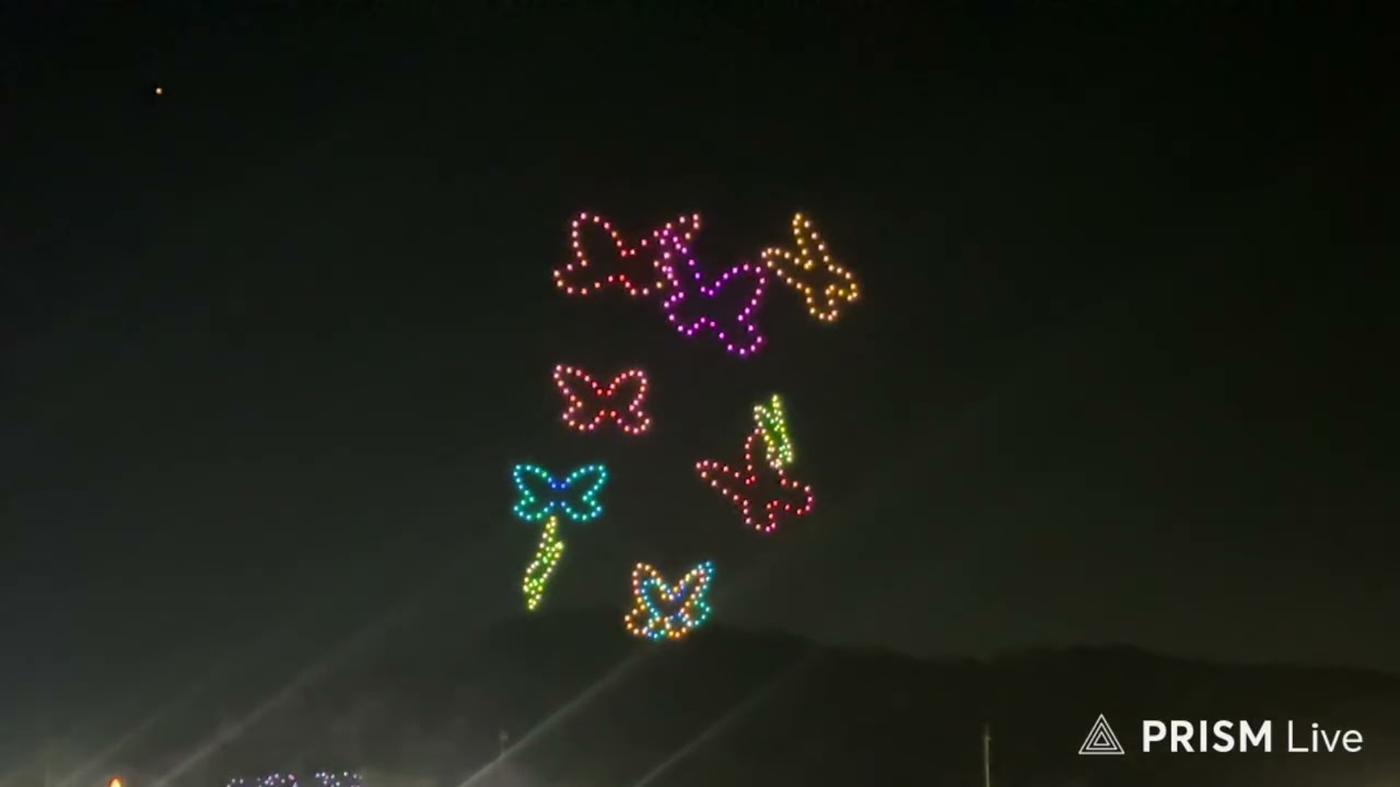 あしかがフラワーパークドローンショー