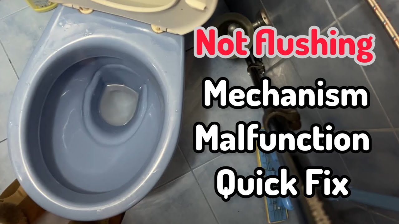 Toilet not flushing . Mechanism Malfunction Fix 
