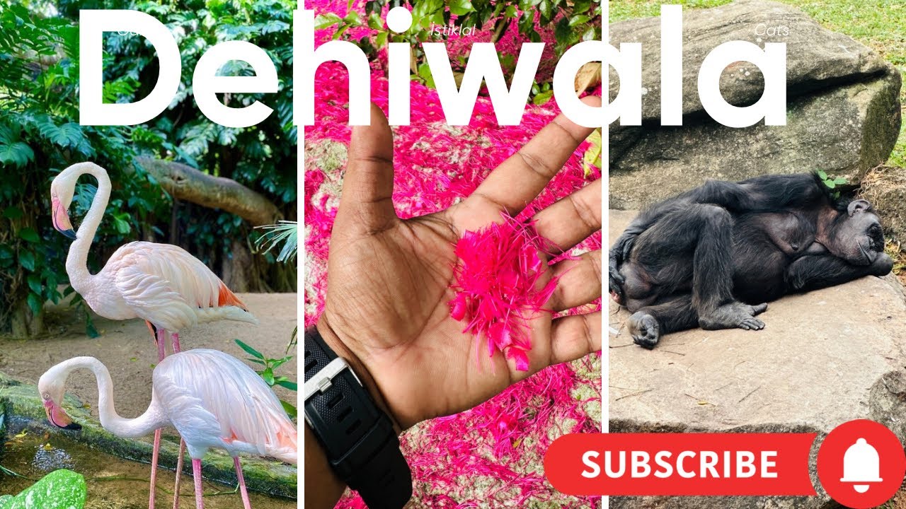 Dehiwala zoological garden | Colombo | Srilanka 