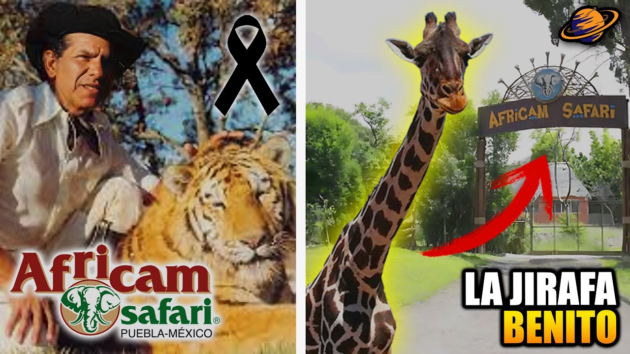 ¡TRÁGICO FINAL DEL FUNDADOR! | Los SECRETOS de AFRICAM SAFARI | El Caso de 