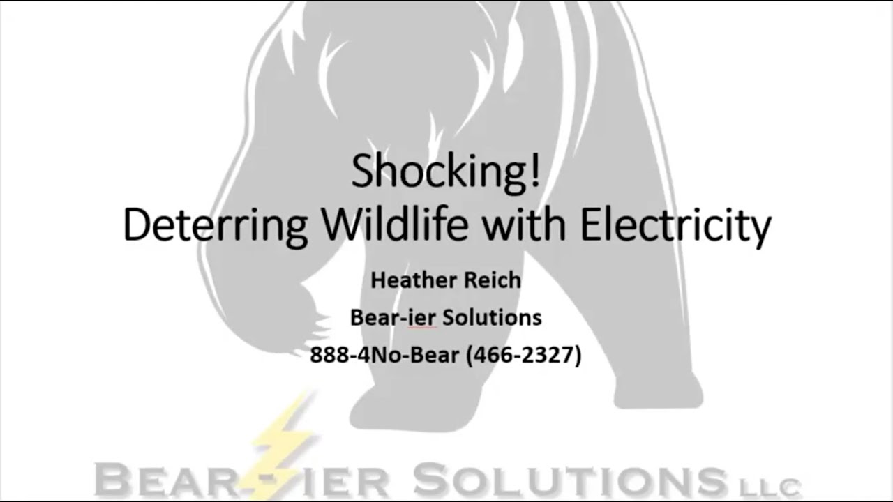 IBA Management Committee Webinar #4 - Shocking! Deterring Wildlife with Electricity