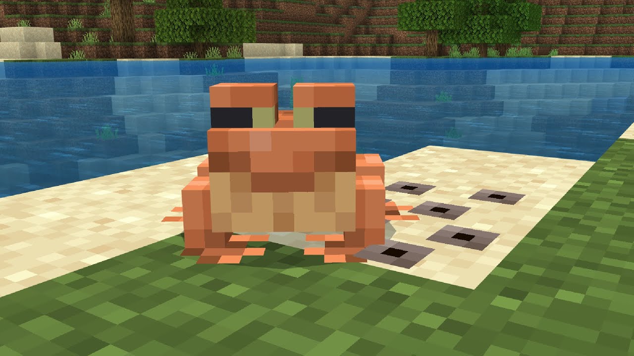 The NEW Frogs literally explode for some reason (Minecraft 1.19)