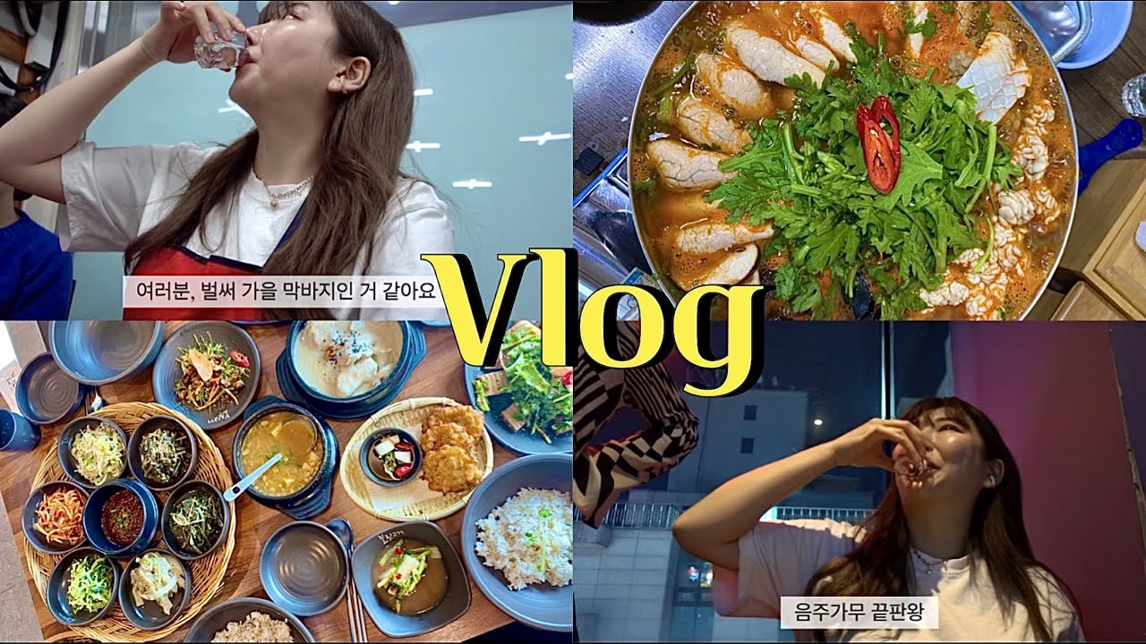[여행 VLOG] 원주 찐 맛집가서 소주 뿌시고 랜만에 방댕이 신나게 흔들고 온 여행🤗ㅋㅋ | 까치둥지,보릿고개,륭림닭발,봉화산설렁탕,뮤지엄산