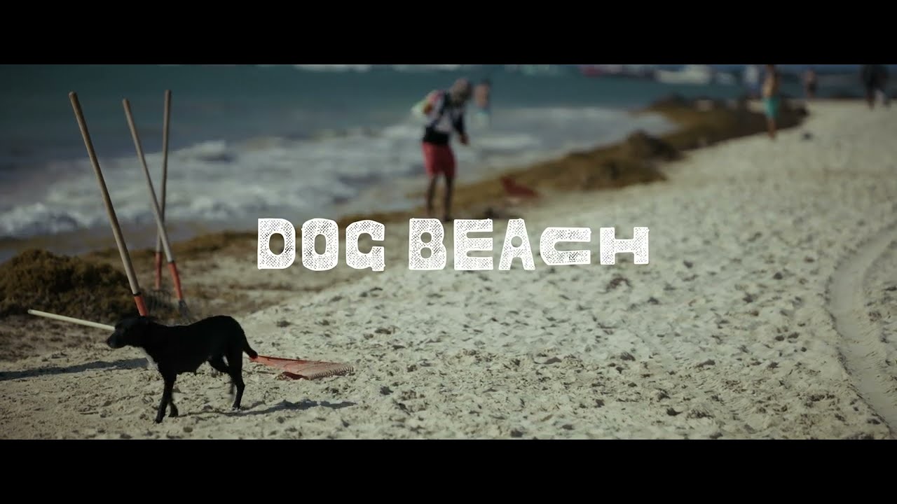 DOG BEACH &ndash; Official Trailer | Directed by Alex Torres | A Playa Films Documentary
