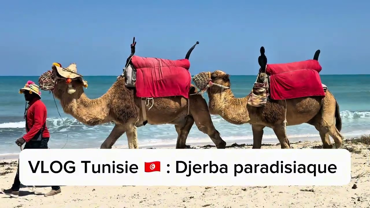 VLOG Tunisie 🇹🇳 : Djerba paradisiaque 