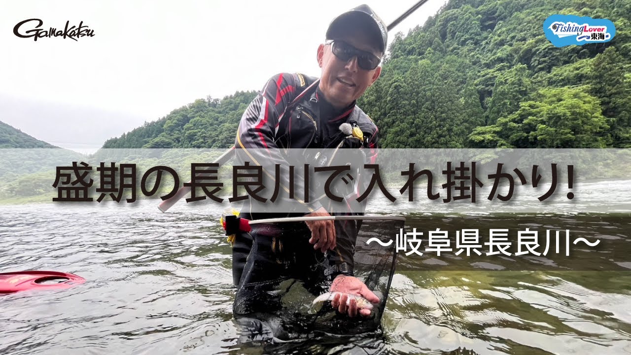 【FishingLover東海】夏の瀬を攻める 鮎の友釣り【鮎釣り】【友釣り】