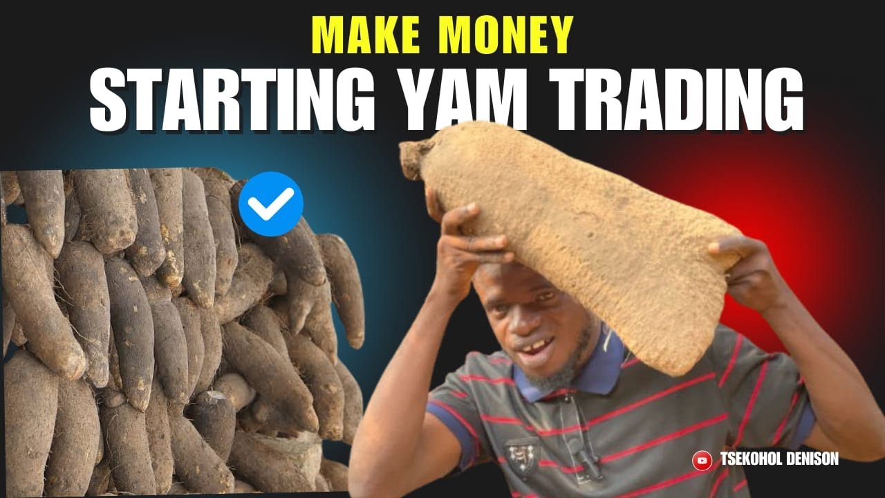 Yam Distribution Business Explained: Step-by-Step Guide at Zaki Biam Market Benue State.
