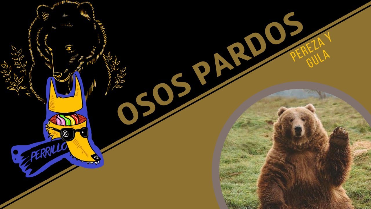 Osos Pardos: Peligroso Pochoncito. | Ep 60 | CULTURA COLMILLUDA