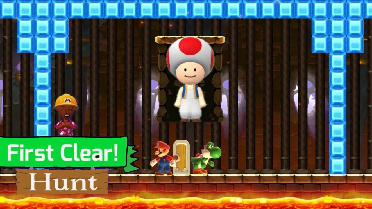 CAUTION! TOAD MADE THIS LEVEL!!