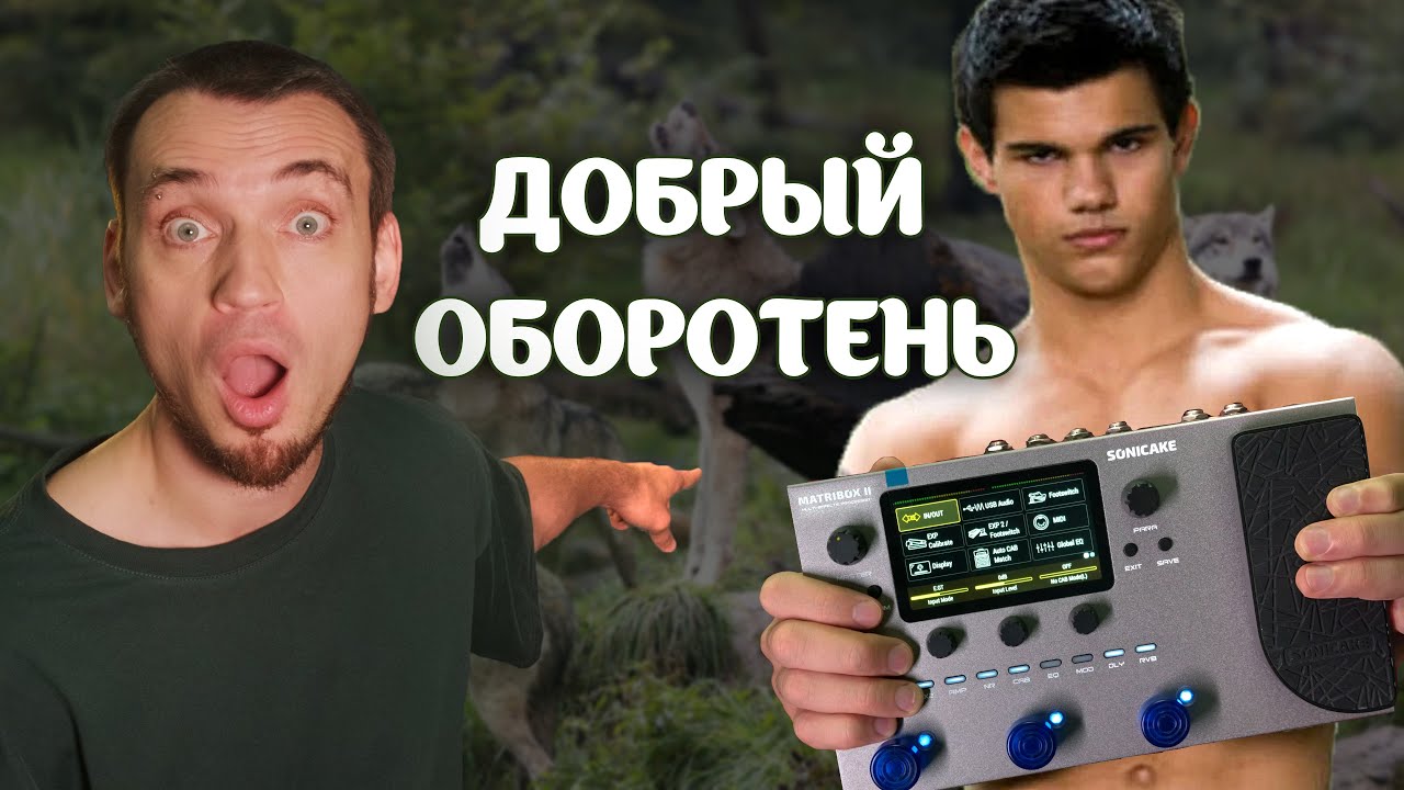 Добрый оборотень. Обзор Sonicake Matribox II.
