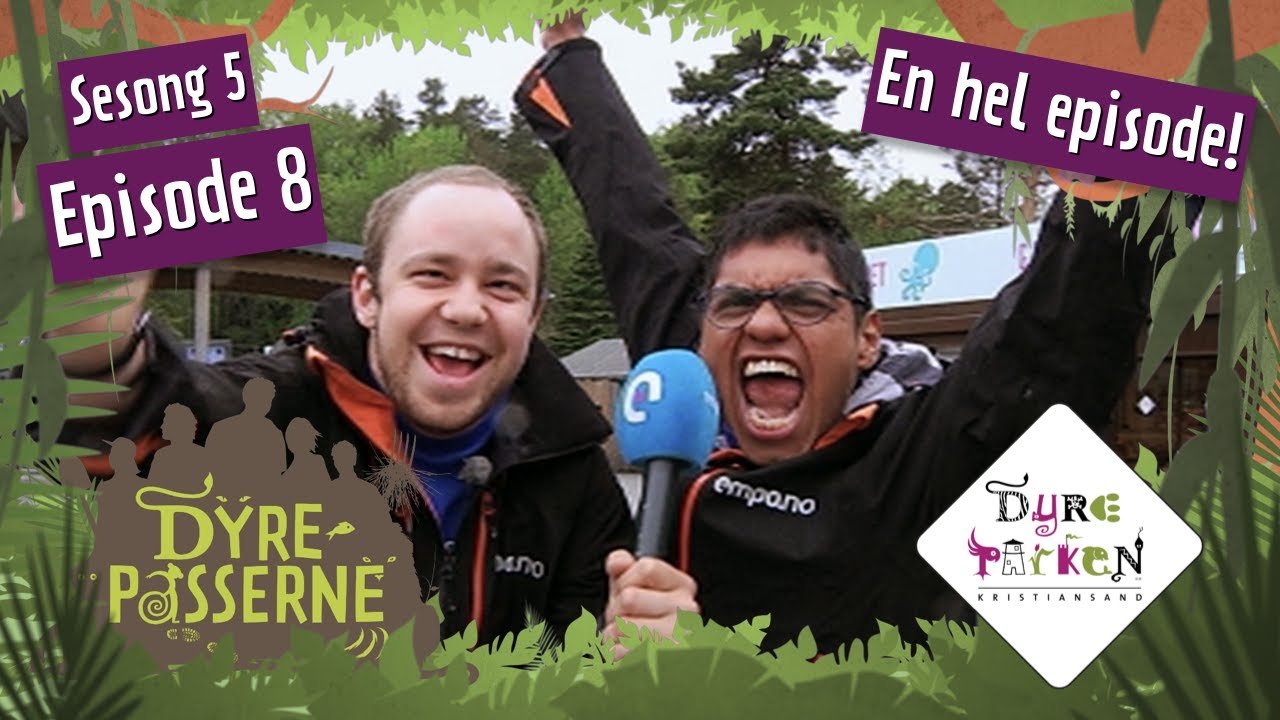 Verdens kuleste reportere | Dyrepasserne S5E8 | Dyreparken