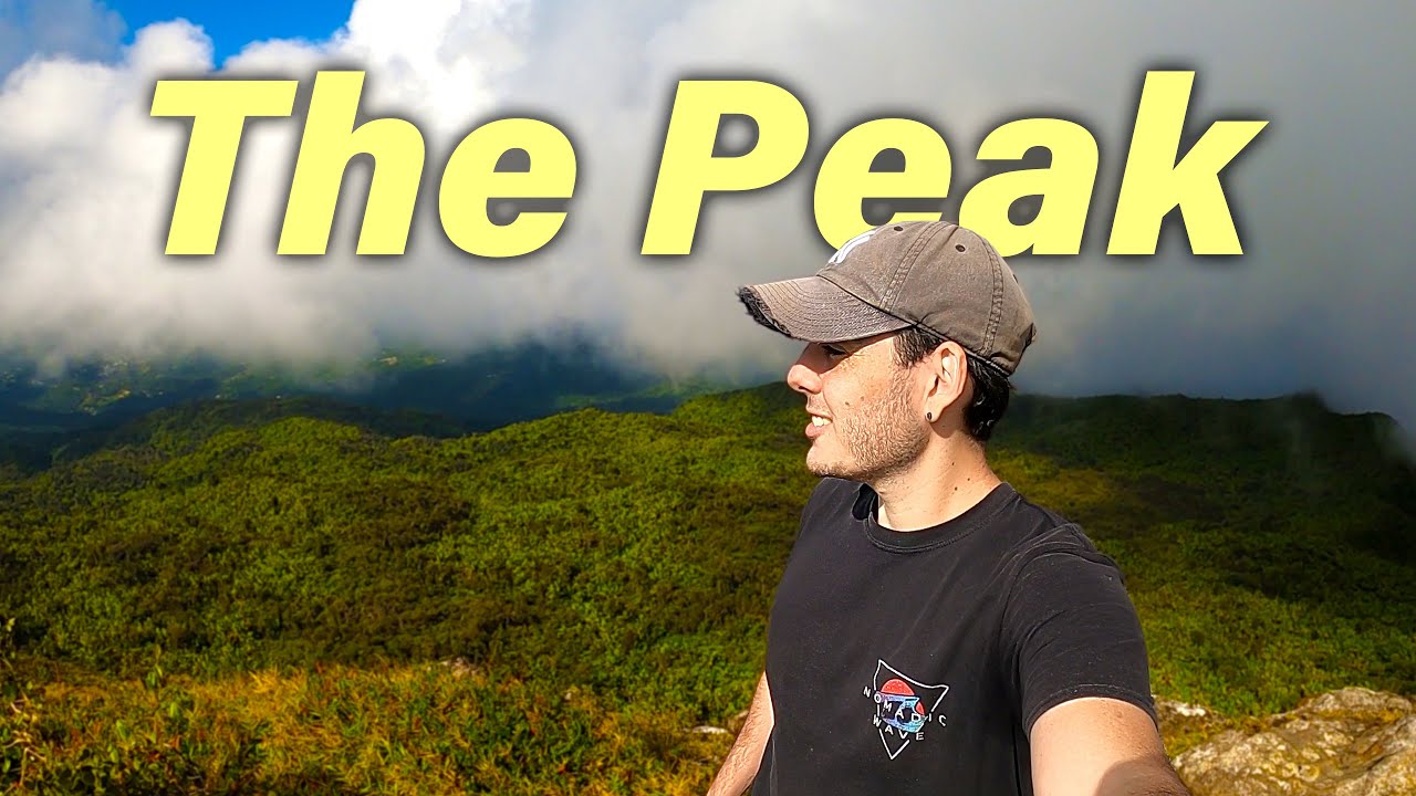 AMAZING El Yunque’s Hike You Shouldn’t Miss | Puerto Rico 🇵🇷
