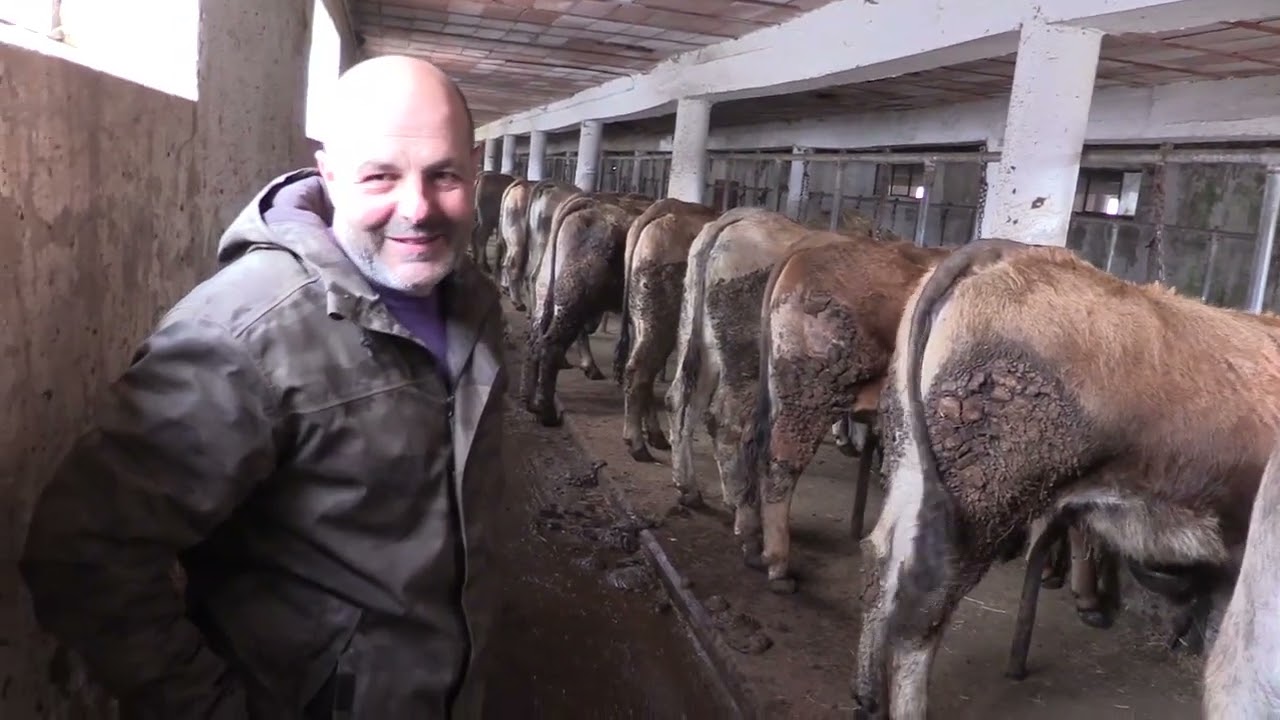 Ganaderos en su hábitat | Asturianas en Brañosera | 28.4.2023