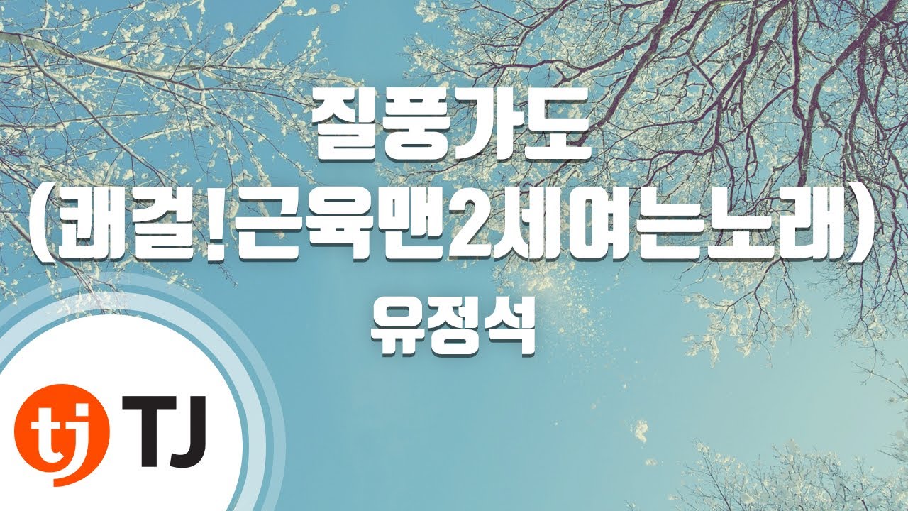 [TJ노래방] 질풍가도(쾌걸!근육맨2세여는노래) - 유정석 / TJ Karaoke
