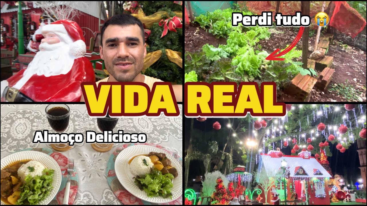 VIDA REAL DE UM CASAL | VLOG DA HORTA DESTRUÍDA 😭 + ALMOÇO EM CASA 