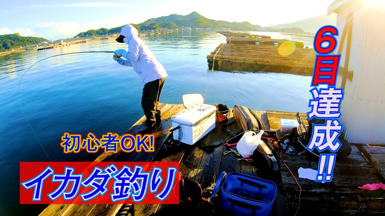 夫婦でいかだ釣り。サビキとルアーで６目達成！初心者でも大丈夫！