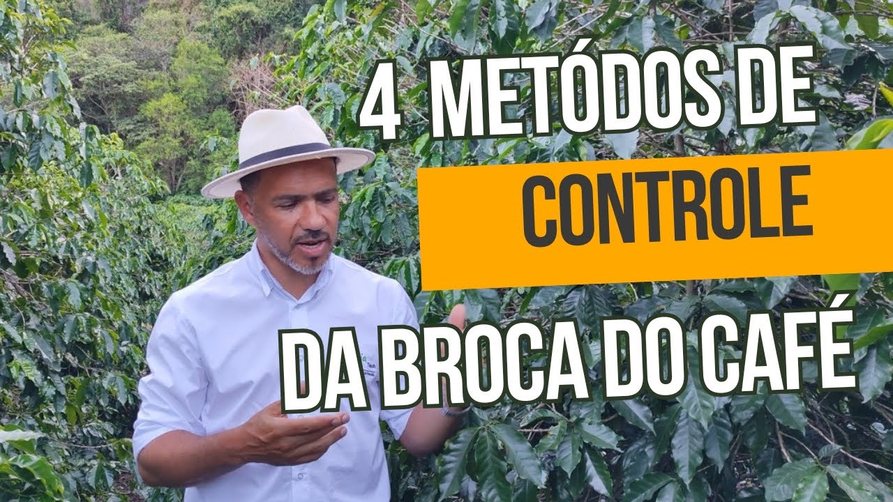 4 FERRAMENTAS DE CONTROLE DE BROCA DO CAFÉ