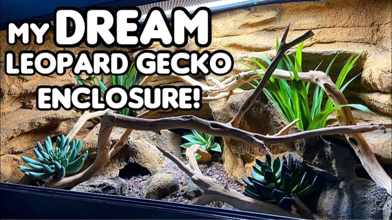 My DREAM Leopard Gecko Enclosure! | Custom Reptile Habitats
