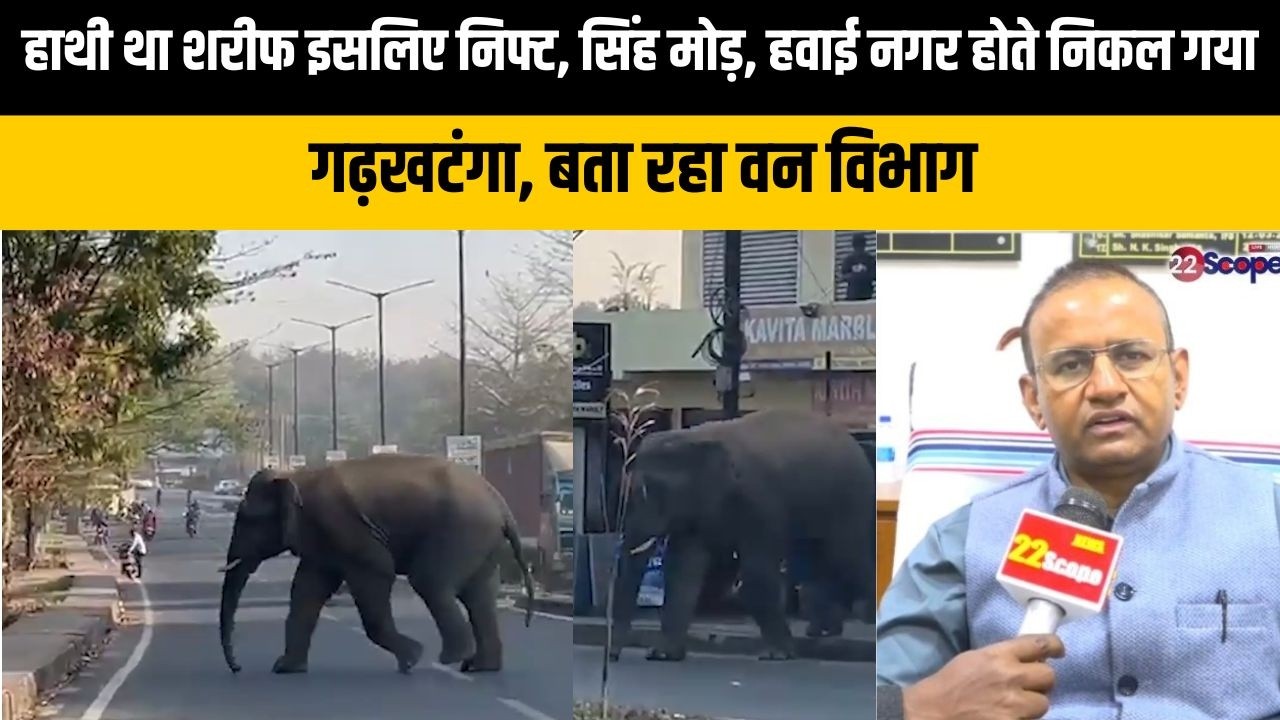 रांची की सड़क पर गजराज..सकते में वन विभाग।