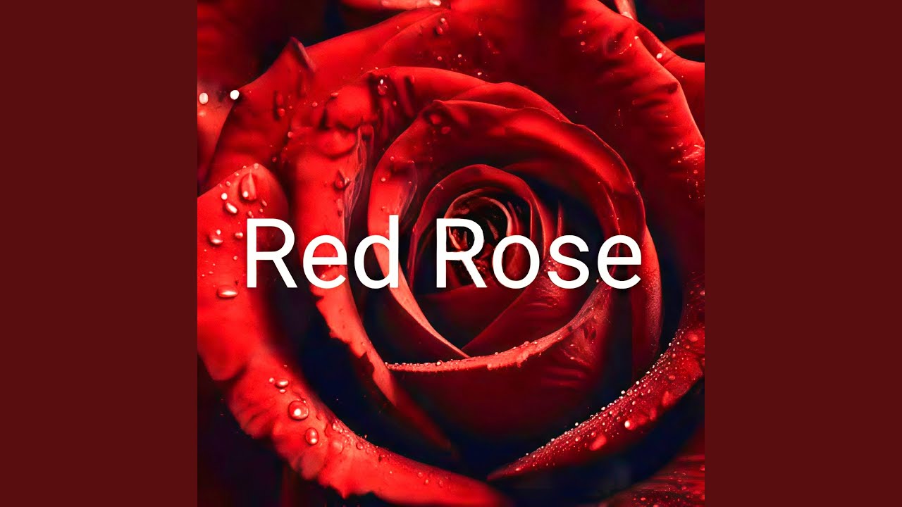Red Rose (English)