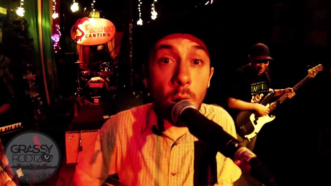 The Expanders - Turtle Racing