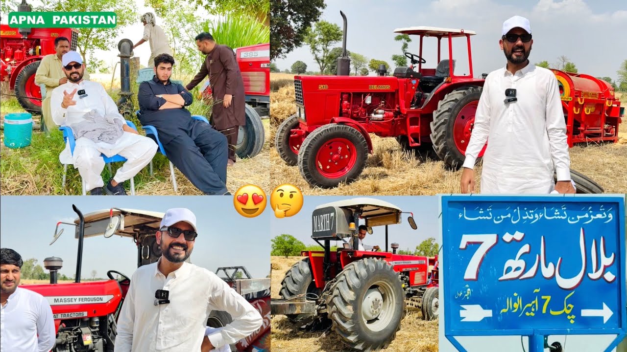 Bilal Marth zari Faram !Wheat seson 2025 !Thresher Machine work!Belarus510 MF385!Interesting video