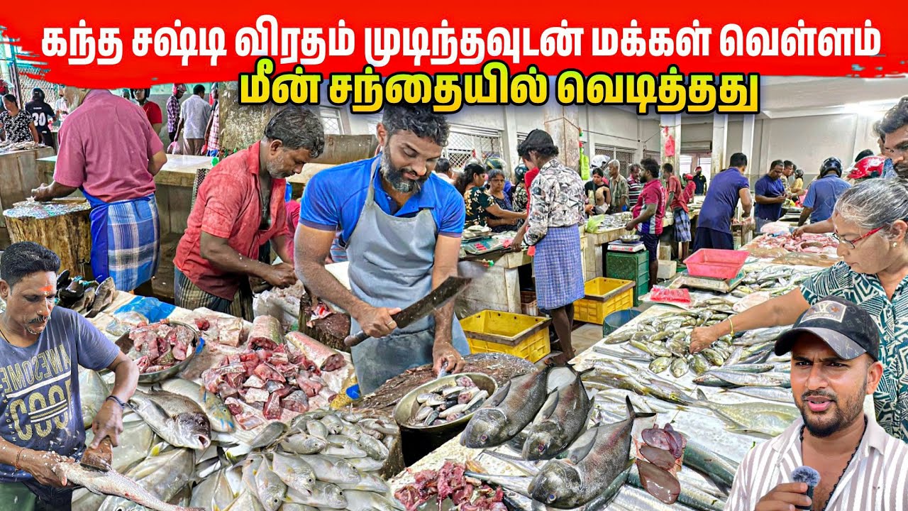 யாழில் மீன் சந்தைக்குள் படை எடுத்த மக்கள் கூட்டம் | Jaffna Fish market 