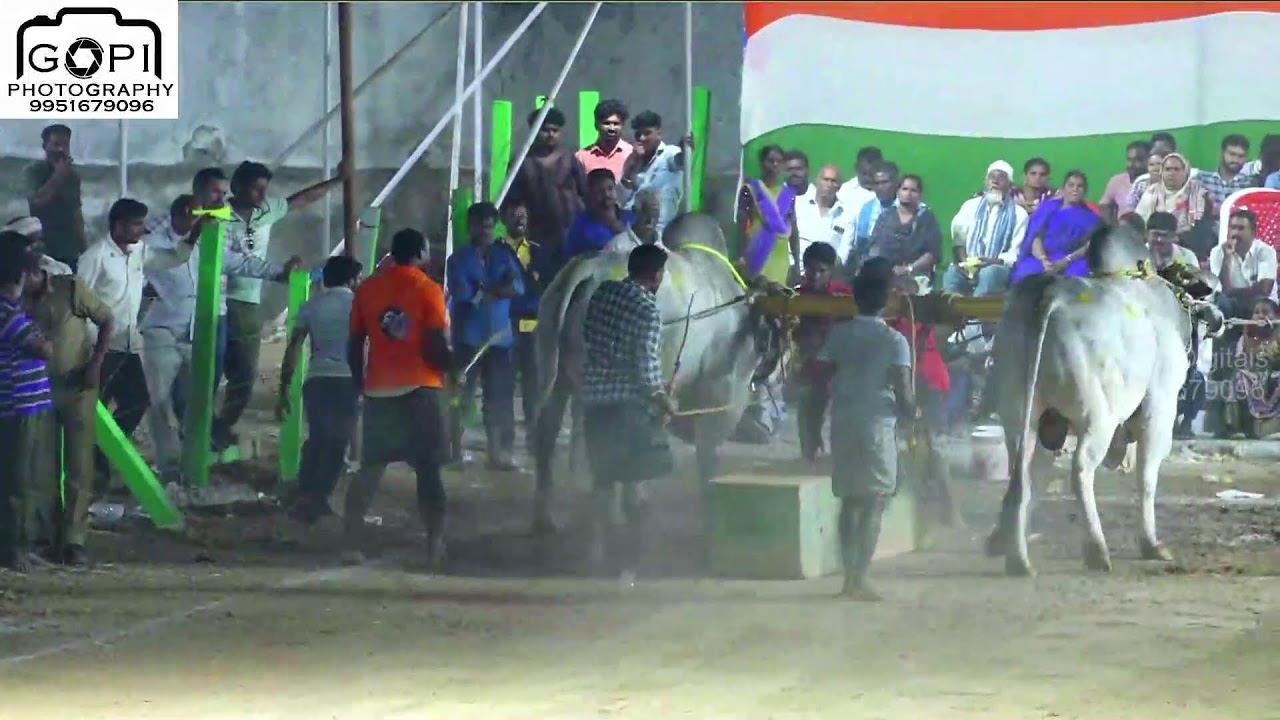 మేళ్లచెరువు ఎడ్ల పండాలు నాలుగో రోజు Live 2026