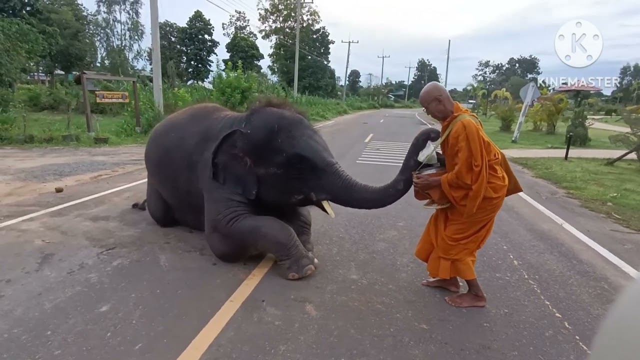 [ดาวมงคล]เก่งพอนักเลงพอ|ใส่บาตร|เชือกเดียว|แม่นอนตื่นสาย..