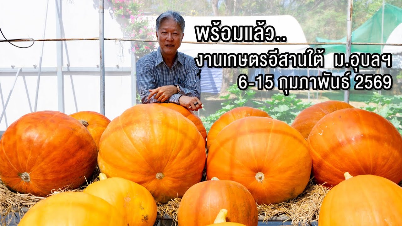 พร้อมแล้ว งานใหญ่แห่งปี งานเกษตรอีสานใต้  ม.อุบลฯ 6-15 กุมภาพันธ์ 2569