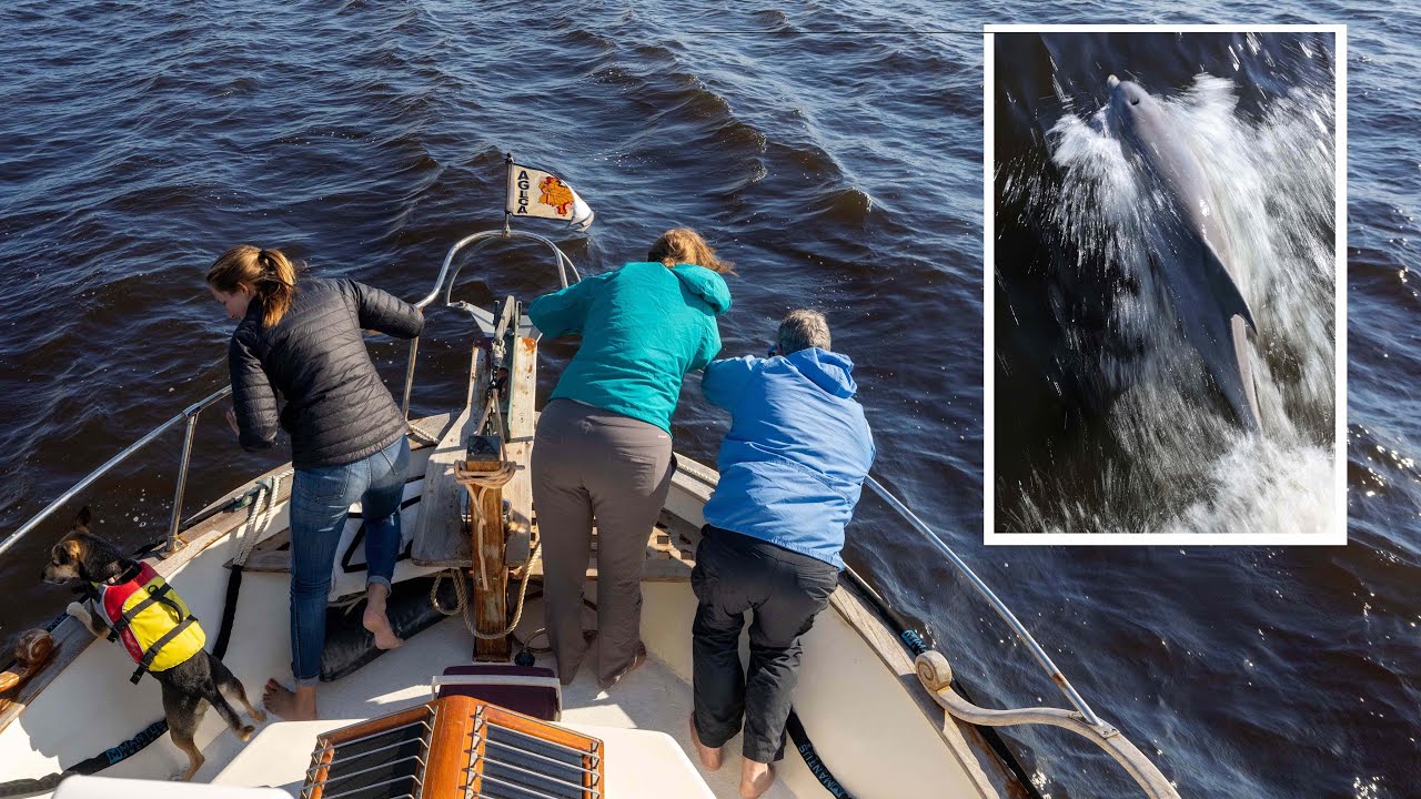 Cruising with DOLPHINS on the Georgia ICW (from Cumberland Island to St. Marys)