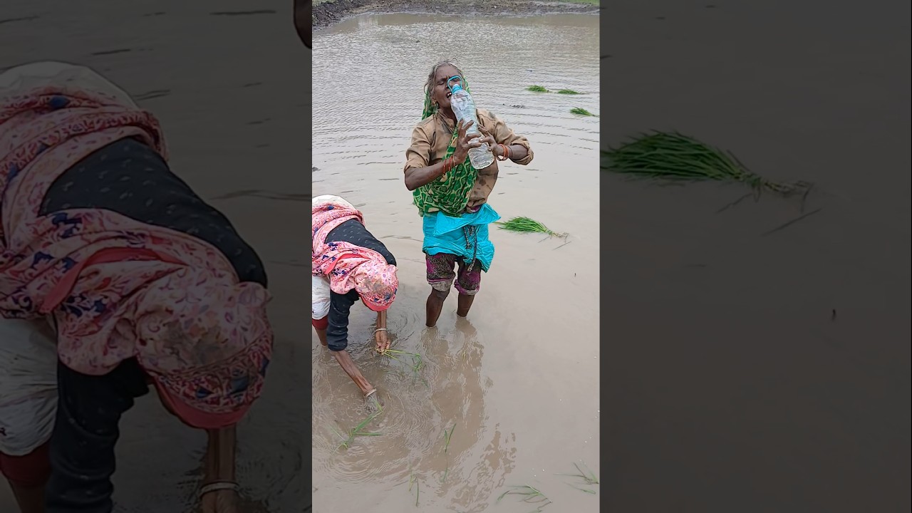 बुंदेली राई जवाबी धीरे धीरे बोल कोई सुन ना ले bundeli rai song jawabi rai bundeli rai nach #bundeli