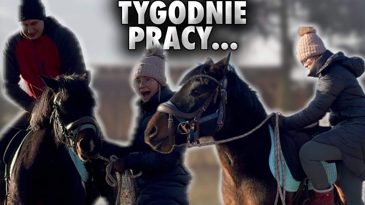 PODSUMOWANIE TYGODNI PRACY Z HUCUŁAMI | VLOG #391