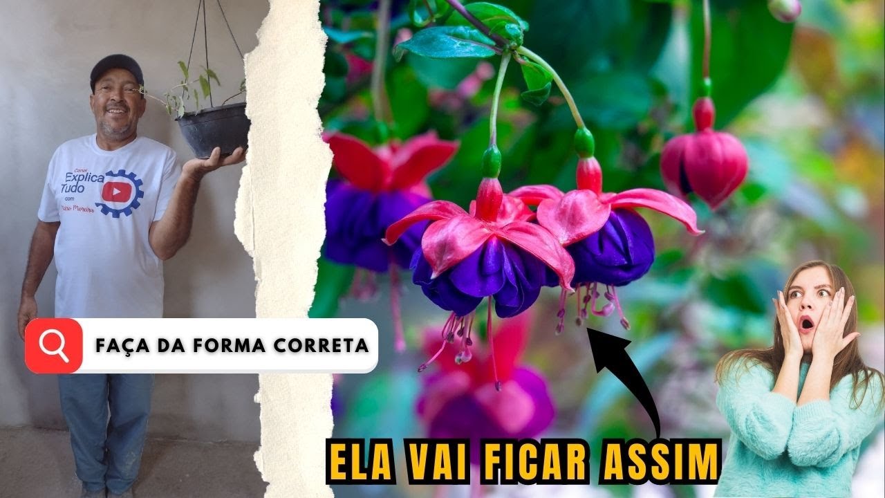 BRINCO DE PRINCESA | COMO FAZER MUDAS DO JEITO CERTO | Rápido e Fácil