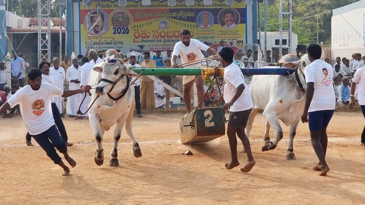 ఉత్తనూరు 6 పళ్ళ విభాగం బండలాగుడు పోటీలు 7వ జత బచ్చల భాస్కర్ రెడ్డి సర్పంచ్ పుల్లెట్టు పల్లి గ్రామం