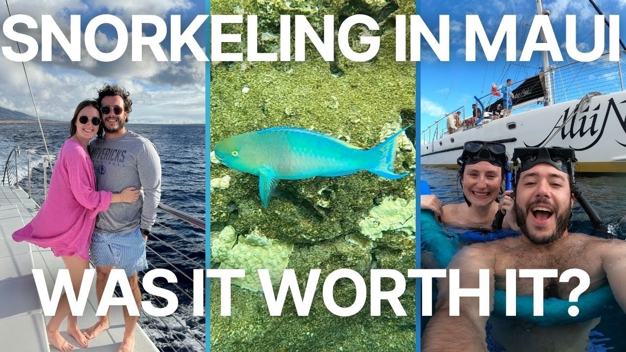 Is Snorkeling in Maui Really Worth It? 🐠 (Our Honest Experience)