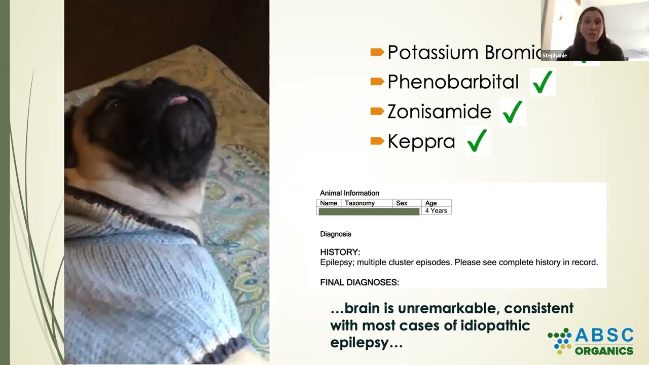 PART 2: Best Buds CBD Trials in our Furry Friends | w/ Stephanie McGrath | an ABSC Organics Webinar