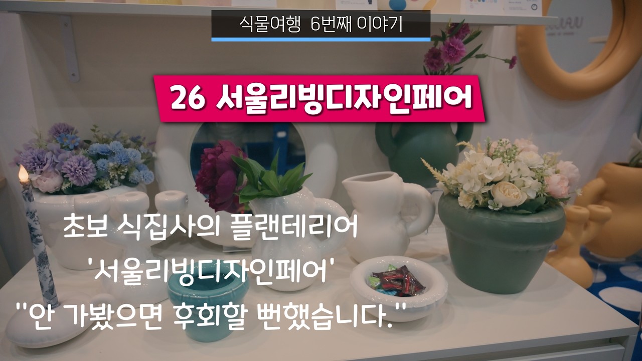 초보 식집사의 26 서울리빙디자인페어 방문기.  #초보식집사 #와로퀴아넘 #분갈이 #식물 #plants