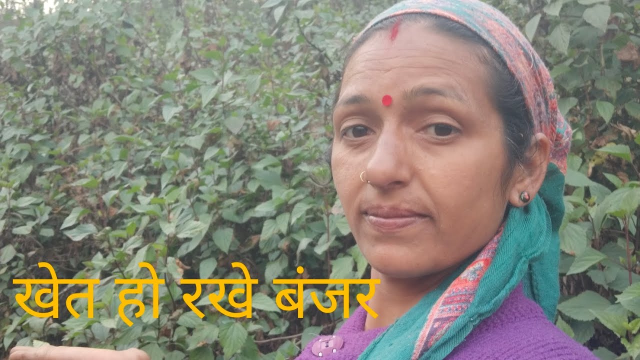  गांव के सामने के ही खेत हो रहे बंजर 🥵🥵