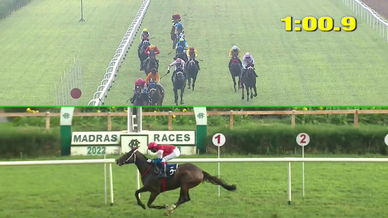 Madras Race Club Live Stream
