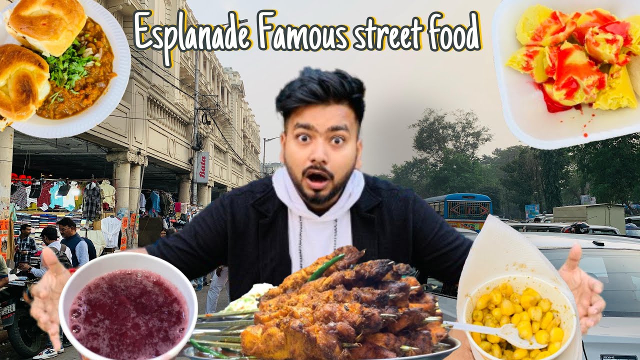KOLKATA FAMOUS STREET FOOD : BEST STREET FOOD IN ESPLANADE.