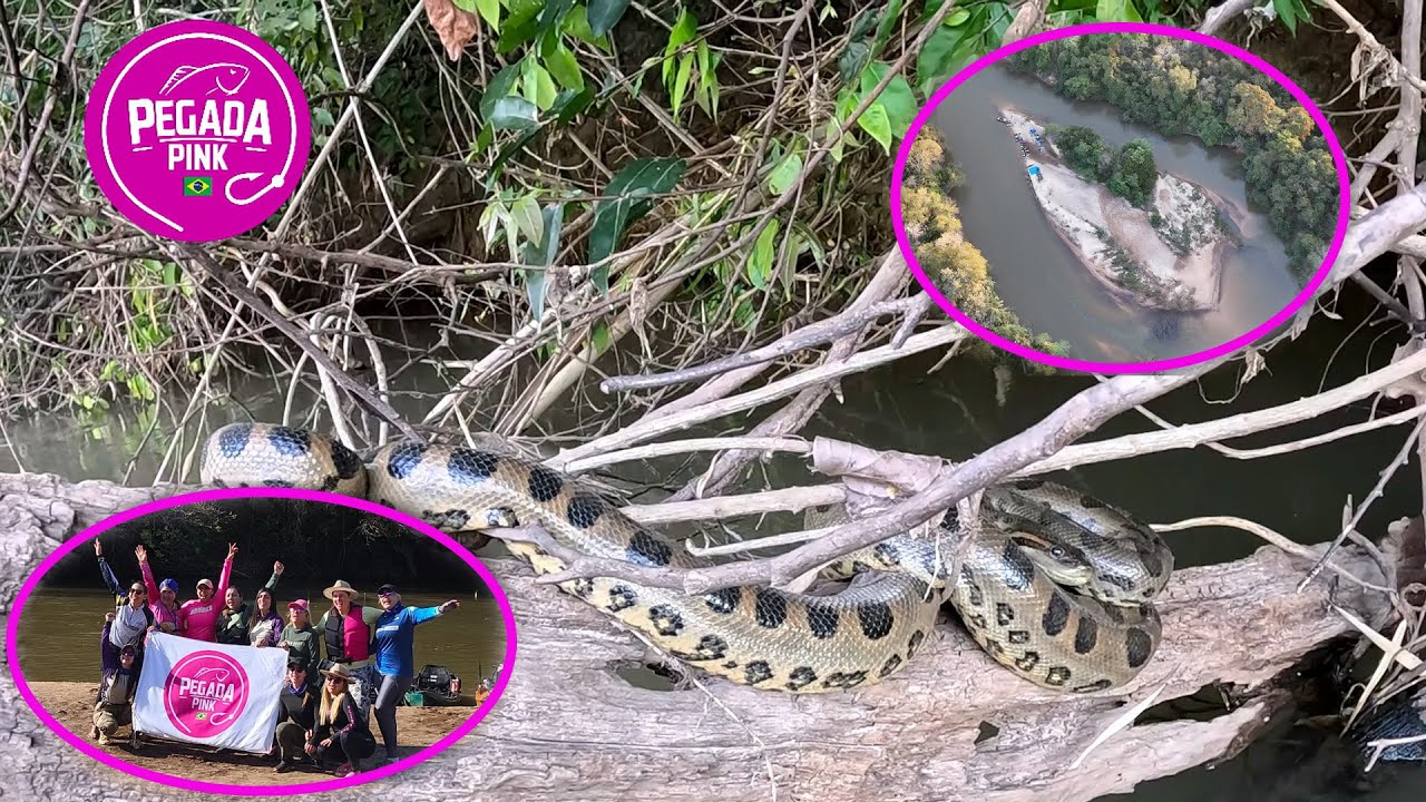 A Noite que Mudou Tudo: On&ccedil;a, Sucuri e 12 Mulheres numa Ilha do Pantanal