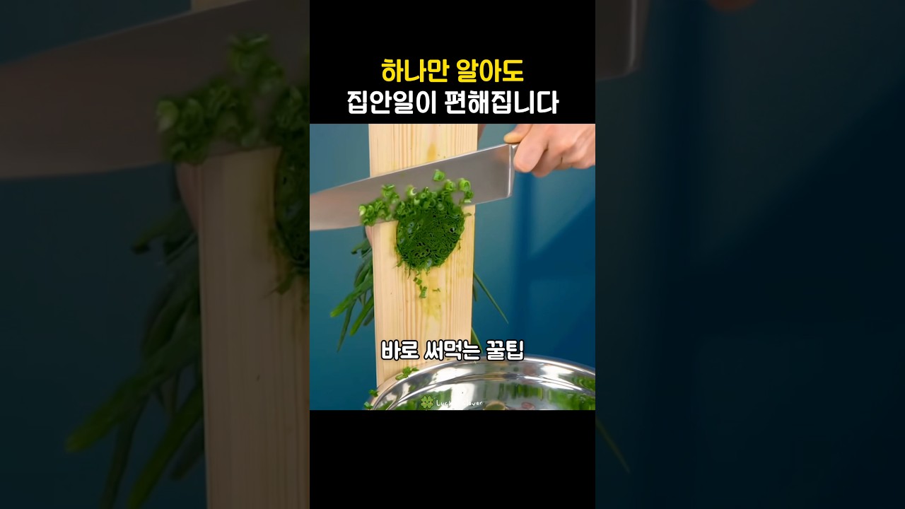 하나만 알아도 유용한 꿀팁✨