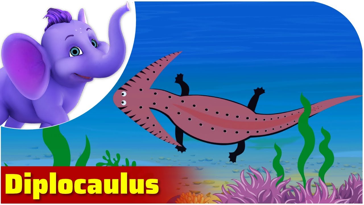 Diplocaulus - Prehistoric Animal Songs