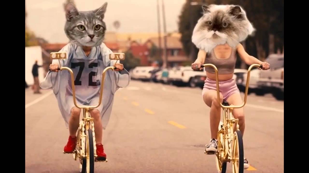Drop that kitty w/ Hook Instrumental